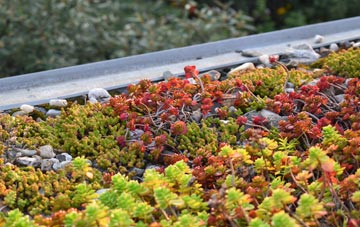 the cost of Caeathro green roof installation